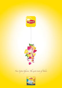 立頓饕餮茶宴 新中式茶文化廣告創(chuàng)意策劃