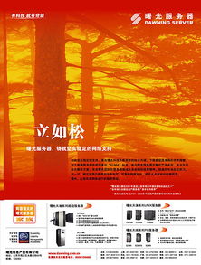 廣告設(shè)計(jì)的多元化展現(xiàn) 從傳統(tǒng)媒體到數(shù)字時(shí)代的創(chuàng)意實(shí)踐